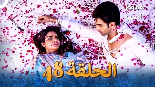 الفصل 48 Tashan E Ishq غموض الحب 