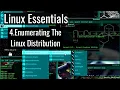 Linux Essentials 4 Enumerating the Linux Distribution And The Kernel Information Beginner Basics