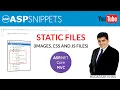 Using Static Files Images CSS and JS files in ASP Net Core