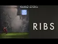 RAYE - Life boat. (Ribs Remix)