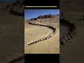 Lagu 37-million-year-old whale skeleton fossil found in Wadi Al Hitan #WhaleFossil #WadiAlHitan #Ancient