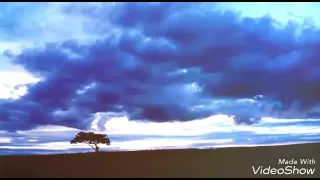 شيله روعه الجفا ممنوع ياسمح المحيا دندنها