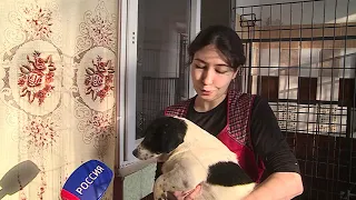 Крупную партию благотворительной помощи сегодня передали в муниципальный приют Омска