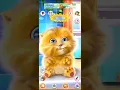 Download Lagu #shorts #shortsvideo#cat #funny#tom #cat#misscat #happy