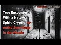 True Encounters With a Nature Spirit cryptid or entity Seen Deep in the Woods
