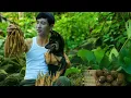 Lagu CEO Trieu Dan and Micki on an exciting adventure to find precious ginseng