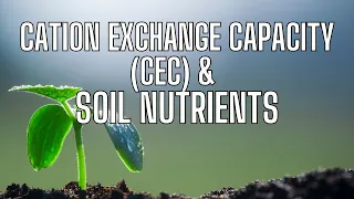 cation exchange capacity cec in soils