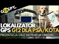 Download Lagu LOKALIZATOR GPS DLA PSA/KOTA G12 Z PODSŁUCHEM GSM - KONFIGURACJA I OBSŁUGA - GOSPY.PL MP3