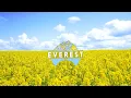 Dancefloor & Liquid Drum & Bass Mix - By Everest