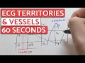Territories Made Easy - Learn In 60 SECONDS Hooper s Trick