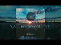 DJ MANDARIN - Vechereet (techno 2022)