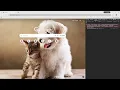 JavaScript Tutorial for Beginners Coding in Chrome Console Techno with Friends