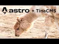 Write blog posts on the web with Tina CMS and Astro