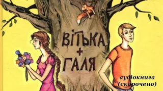 Вітька Галя або повість про перше кохання аудіокнига скорочено Валентин Чемерис  Вітька Галя або повість про перше кохання аудіокнига скорочено Валентин Чемерис