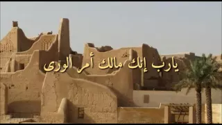 يارب إنك مالك أمر الورى 