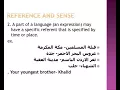 reference amp sense