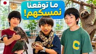 رحنا مع صديقنا الياباني إلى أغرب مقهى حيوانات في اليابان!😳