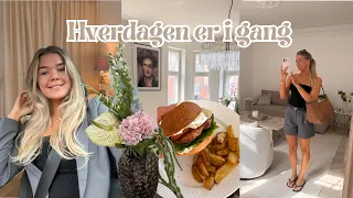 VLOG: vi er hjemme igen efter Mallorca
