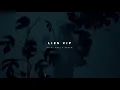 Steve Aoki & KREAM - LIES (VIP Mix) [Official Audio]