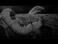 Nala Sinephro ~ Space 2