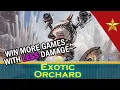You don t know how to build Rose Cutthroat Raider MTG EDH Commander Deck Tech