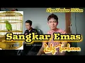 Download Lagu Hidupku ini oh sebagai burung (Sangkar Emas) Cover Lody Tambunan @ZoanTranspose