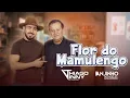 Flor do Mamulengo - Thiago Vinny feat. Anjinho dos Teclados
