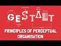 Why Do You See Patterns Everywhere Gestalt Psychology Principles of Perceptual Organisation