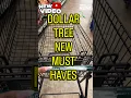 DOLLAR TREE DOES IT AGAIN SHOP WITH ME DOLLAR TREE