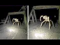 Download Lagu Mysterious Figures Captured on Camera in Abandoned Places