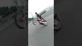 علم حوش عيسى 