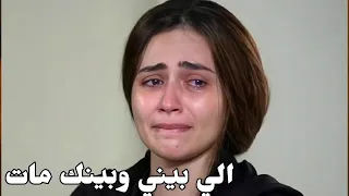 الله يقدرني على نسيانك هاله شعبان 