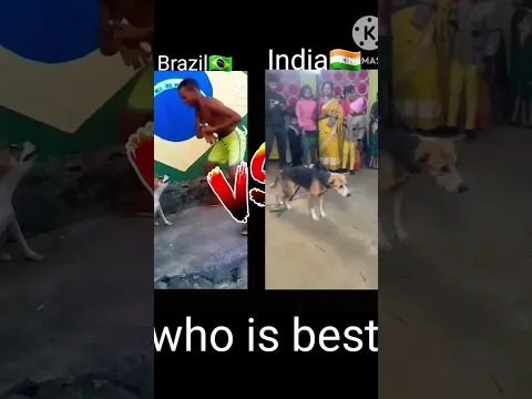 Brazil🇧🇷 dog dance V/S india🇮🇳 dog dance #india #dog dance