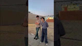             دندنها