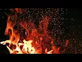 Hector EL Father - Calor (lyrics video)