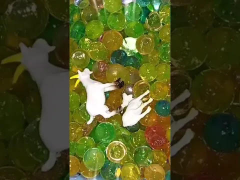 Fazendinha do Felipe Canopf - As Cabras de brinquedo que virão de verdade! #500k #shorts #diversão