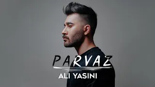                       علی یاسینی   پرواز دندنها