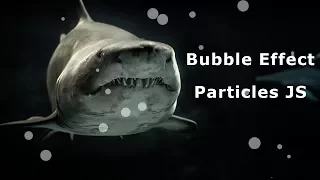 Bubble Effect by Particle JS Particle js Effect JavaScript Animated Background