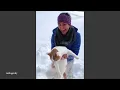 Funny Cats Against Snow! 🤣 The Funniest CATS Video 2026