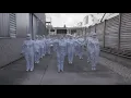 Mycroclean Ghostbusters Flashmob