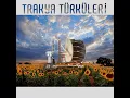 Arabaya Taş Koydum - Ömer Danış