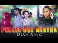 Download Lagu PENGEN DUWE MERTUA II  DIAN ANIC