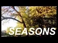Seasons - original song Rough Draft version Joeliann