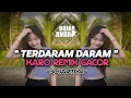 KARO REMIX || TERDARAM DARAM || NEW REMIX