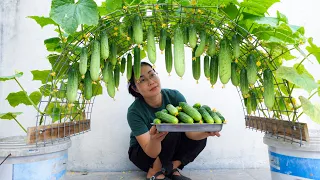 Simple DIY Trellis for Potted Cucumbers - Harvest in 40 Days!