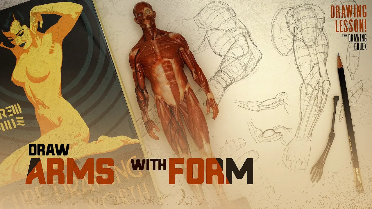 Learning To Draw Solid Arms! | Comics - Manga - Fundamentals - Loomis
