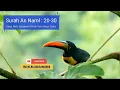 Download Lagu INNAHU MIN SULAIMANA WAINNAHU BISMILLAHIRROHMANIROHIM ➖ Syeikh Mansur Salimy