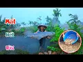 Download Lagu Ngủ Dậy Sau Một Đêm Mưa Lớn - Mất Hết Tất Cả Trạch Đồng Và Cá Trắm Đen / Quế Nghịch