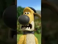 Download Lagu Pumpkins are people!🐑🐑🐑 #shorts #shaunthesheep #cartoonforkids #party #animals #preschool