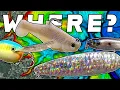 Where Do Bass Go When Its HOT And How To Catch Them
